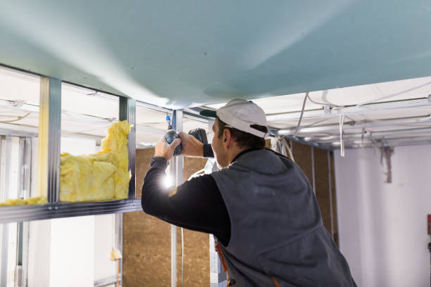 Best Insulation Installation Services in Simpsonville, SC